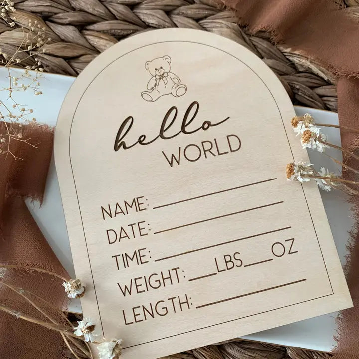 Hello World Teddy Bear Theme Stat Sign