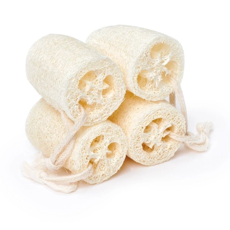 Natural Loofah Slices - Potpourri Gift Shop